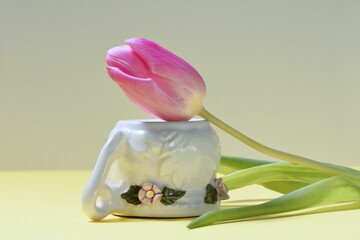 Pink tulip on inverted cup