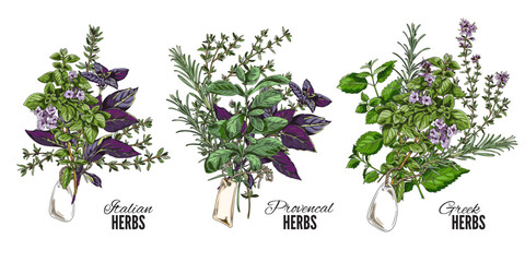 Set of hand drawn colorful bouquets of Italian, Greek and Provencal herbs sketch style © sabelskaya