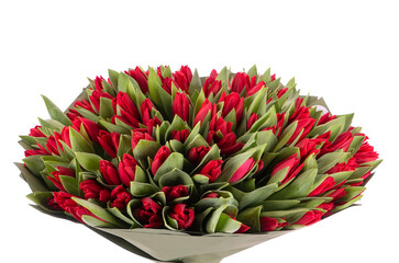 A large bouquet of red tulips on a white background in a green package