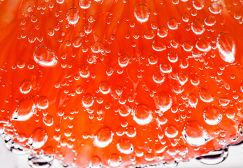 Grapefruit slice peeled pulpy capsules in water with air sphere bubbles, in background light, close-up selective focus