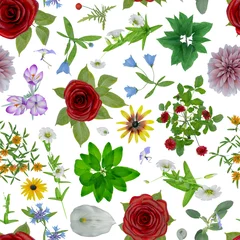  many flowers seamless pattern wrap around tile floral design loopable background 3D illustration © Jacques Durocher