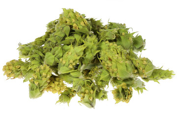 Greek Mountain Tea isolated on white background