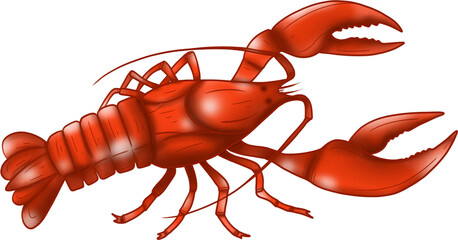 Crayfish. A river animal. Color illustration.