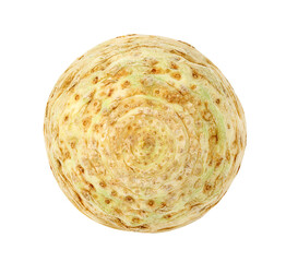 Celery root lower part, isolated on white background with clipping path