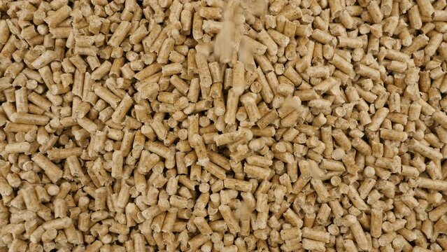 Pressed wood pellets. Combustible organic material, ecological heating, renewable energy concept