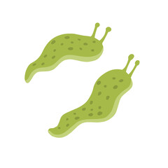 Green slug. Set of slippery insects. Flat cartoon illustration isolated on white background