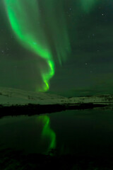 aurora borealis northern lights in tromso