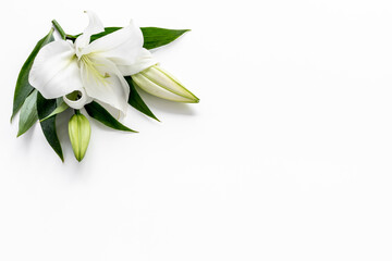 White liles flowers. Mourning or funeral background. Floral mock up