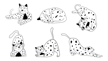Collection of cats. Funny home pets walking sleeping playing and stretching. Different cat`s poses, emotions and character set. Cute kitty in simple line style. Monochrome isolated vector illustration