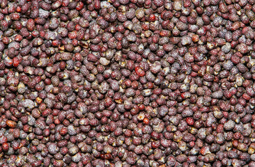 Poppy seeds (Papaver somniferum) with selective focus scattered in a pile with copy space, directly above. oilseeds from the opium poppy plant.