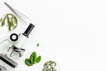 Plants to selection in microbialogical labaratory. Leaves with microscope