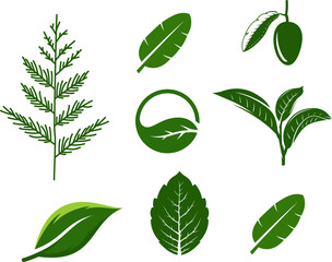 set of green leaf silhouette logo vector