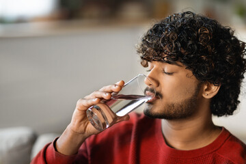 Young Handsome Indian Guy Drinking Water From Glass At Home