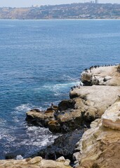 rocky coast of the sea