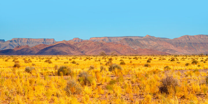Beautiful Namibian savannah landscape with amazing blue sky - Namibia