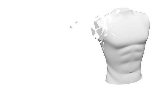 Crumbling torso isolated on white background. 3D Illustration.