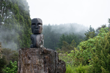 Maori tiki statue surrounded by mist in Waikato Aotearoa New Zealand in nature - obrazy, fototapety, plakaty