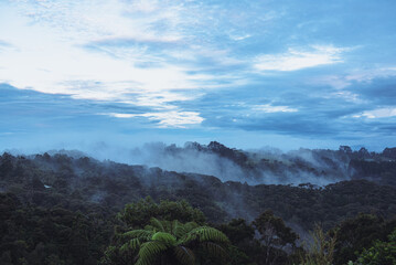 Waitakere Ranges at sunrise, mist hugging hills