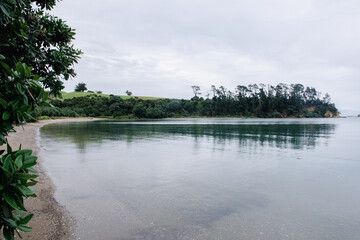 Whakanewha Regional Park beach calm blue sea green waters pohutawaka tree