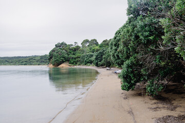 Whakanewha Regional Park beach calm blue sea green waters pohutawaka tree