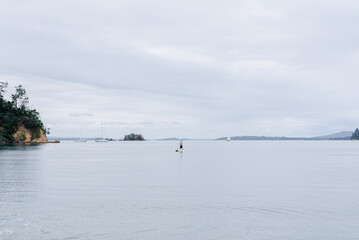 Whakanewha Regional Park beach calm blue sea green waters pohutawaka tree