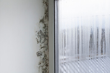 A foggy window and mold on the slopes. Fungus on the walls in the house.