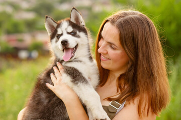 Naklejka na ściany i meble Woman playing with cute little husky puppy dog outdoors. Pet and owner love
