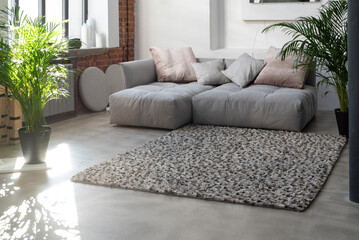 Grey comfortable sofa with pillows, green plants and stylish carpet on the floor in spacious loft...