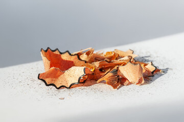 Pencil shavings. Wooden pencil shavings on an abstract background. Rubbish from sharpening