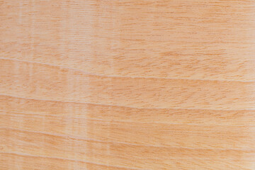 Light rough textured cut surface of an African tree. Wood background or blank for design