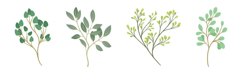 Sprigs and Twiglets with Green Leaves as Botanical Foliage Vector Set