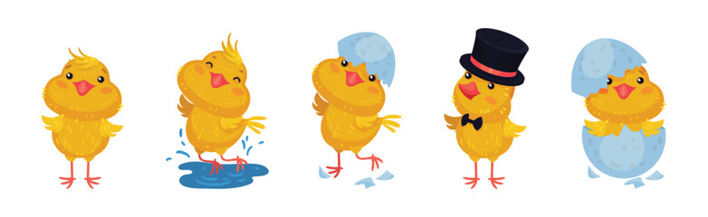 Cute Yellow Chicken Engaged in Different Activity Vector Set
