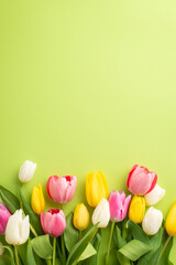Women's Day concept. Top view vertical photo of a lot of spring flowers pink yellow and white...