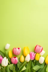 Fototapete Rund Women's Day concept. Top view vertical photo of a lot of spring flowers pink yellow and white tulips on isolated light green background with copyspace © ActionGP