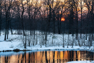 Beautiful sunset between the trees in winter