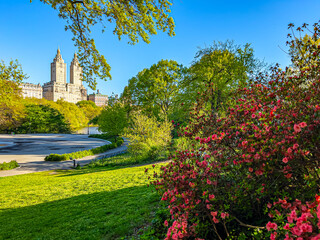 Obraz premium Central Park in spring