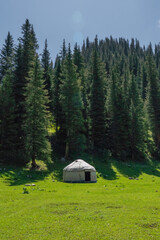 yurt in the forest