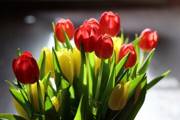 Fototapeta Bukiet czerwonych tulipany w szklanym wazonie. obraz