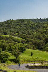 landscape with trees