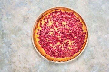 Open pie, shortcrust pastry tart stuffed with cranberries and sour cream filling on a ceramic plate on a gray concrete background. Recipes for pies, tarts.