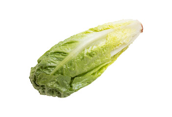 Romaine lettuce isolated on a white surface