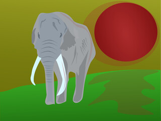 illustration of an elephant with background