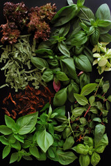 Italian spices in a garden pot, various types of basil, thyme, oregano, rosemary, sage, bay leaves and parsley on a neutral background with copy space, generative ai illustration