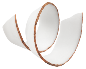 Coconut curls, shavings, isolated on white background, full depth of field