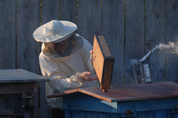 Fototapeta na wymiar Care of the hive, bees. Collection of honey. The life of bees.