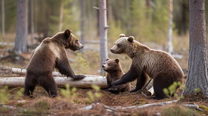 A chubby bear cub playing with its siblings in a forest clearing Generative AI