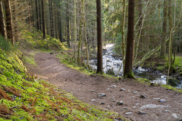 Pathway in Wintry Rural Woodlands Hassafallen Waterfall outside of Jonkoping Sweden And Nearby Taberg Stream. Sweden Rivers And Waterfalls Wintertime in nature reserve.