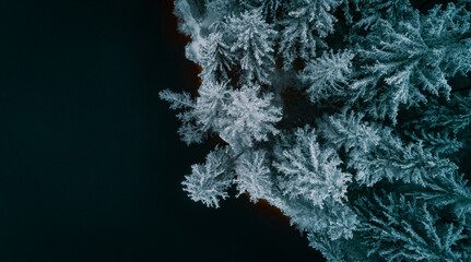 Aerial shot of lake in winter