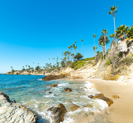 Palm trees by the sea in Laguna Beach