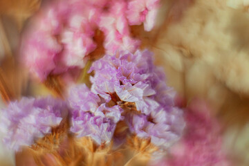 Flores con helios 44-2 y elemento frontal invertido